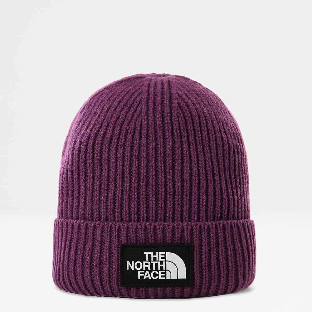Ciapky The North Face TNF Logo Box Cuffed Beanie Damske Nachový | HXW-470856