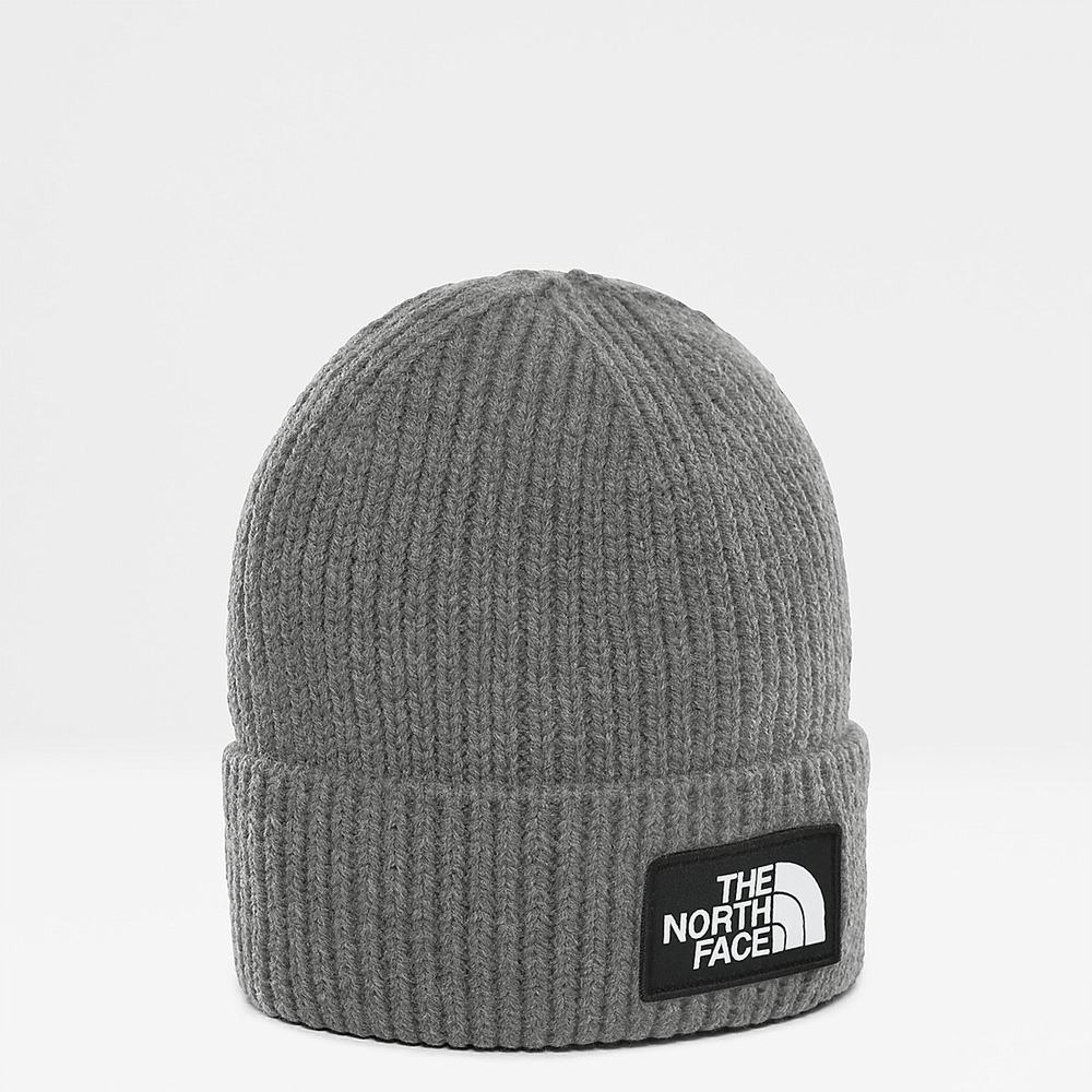 Ciapky The North Face TNF Logo Box Cuffed Beanie Panske Siva | VWT-346975