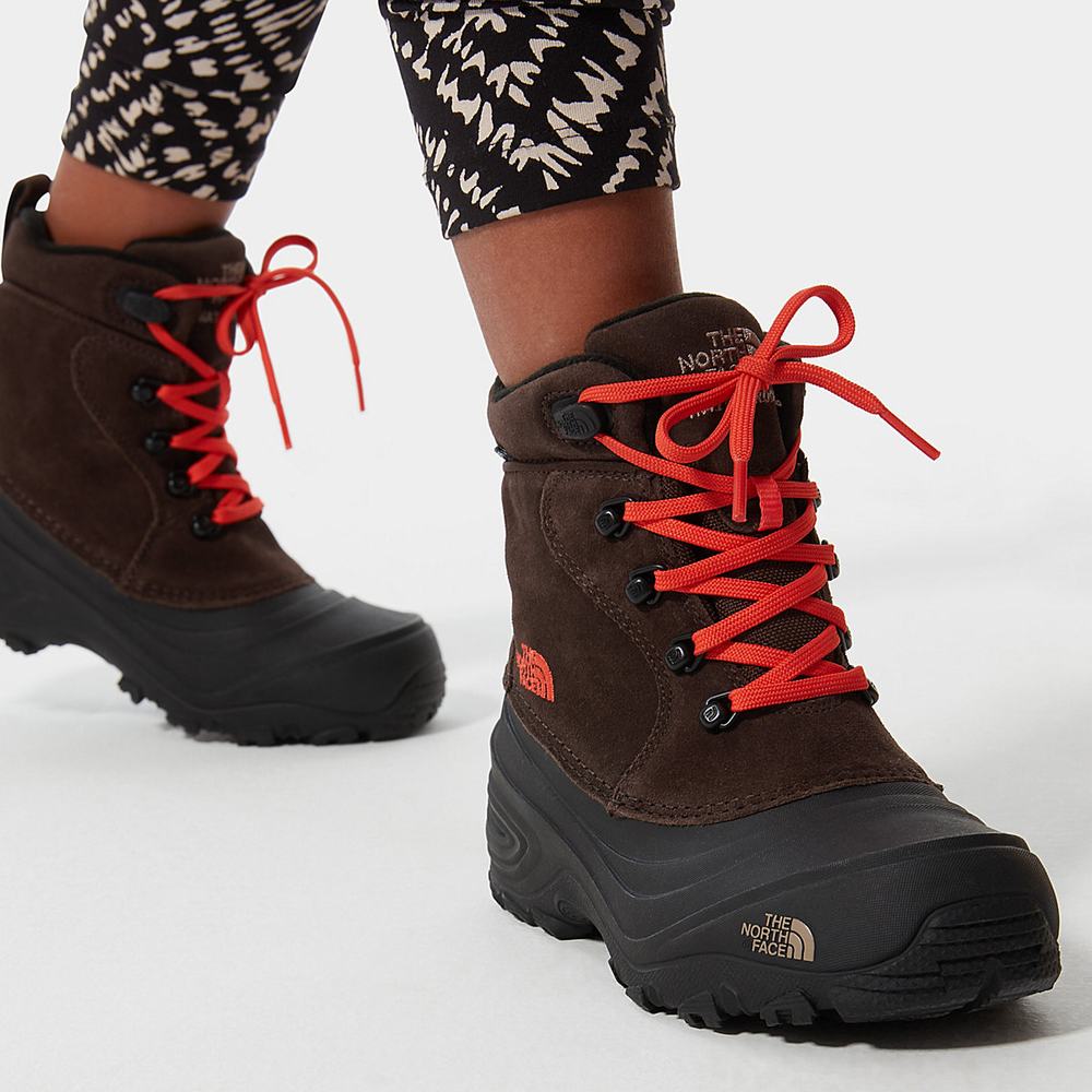 Cizmy The North Face Chilkat Cipkovane II Dievcenske Káva Hnede | QXF-250631