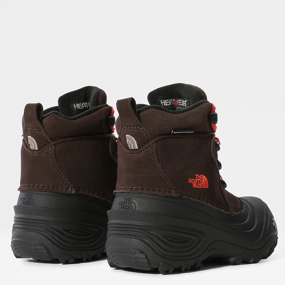 Cizmy The North Face Chilkat Cipkovane II Dievcenske Káva Hnede | QXF-250631