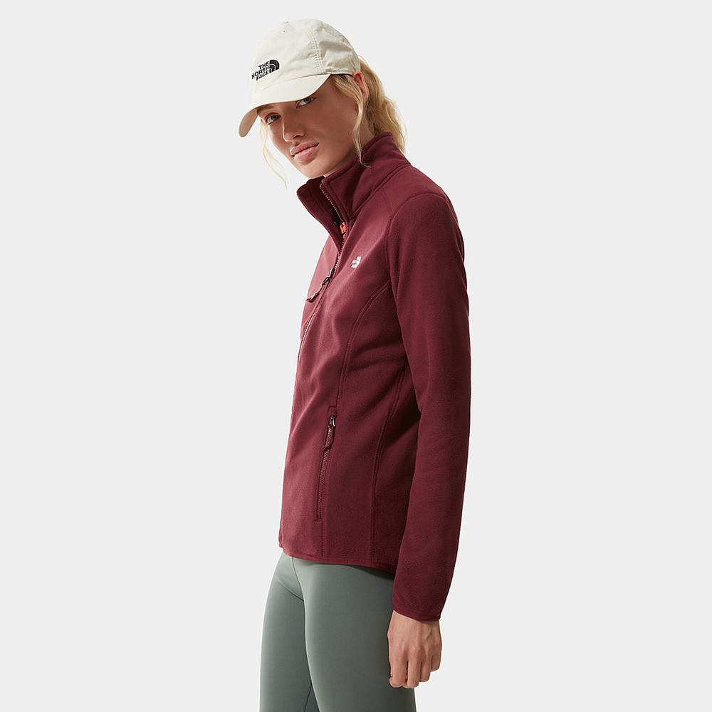 Fleece Mikiny The North Face 100 Glacier Full-Zip Damske Červené | BAU-078324
