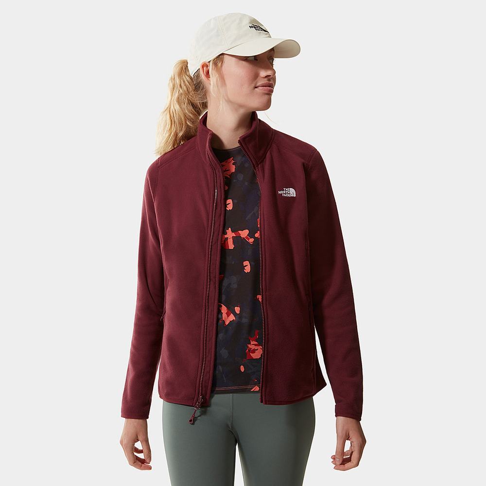 Fleece Mikiny The North Face 100 Glacier Full-Zip Damske Červené | BAU-078324