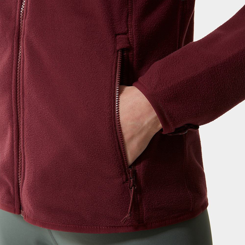 Fleece Mikiny The North Face 100 Glacier Full-Zip Damske Červené | BAU-078324