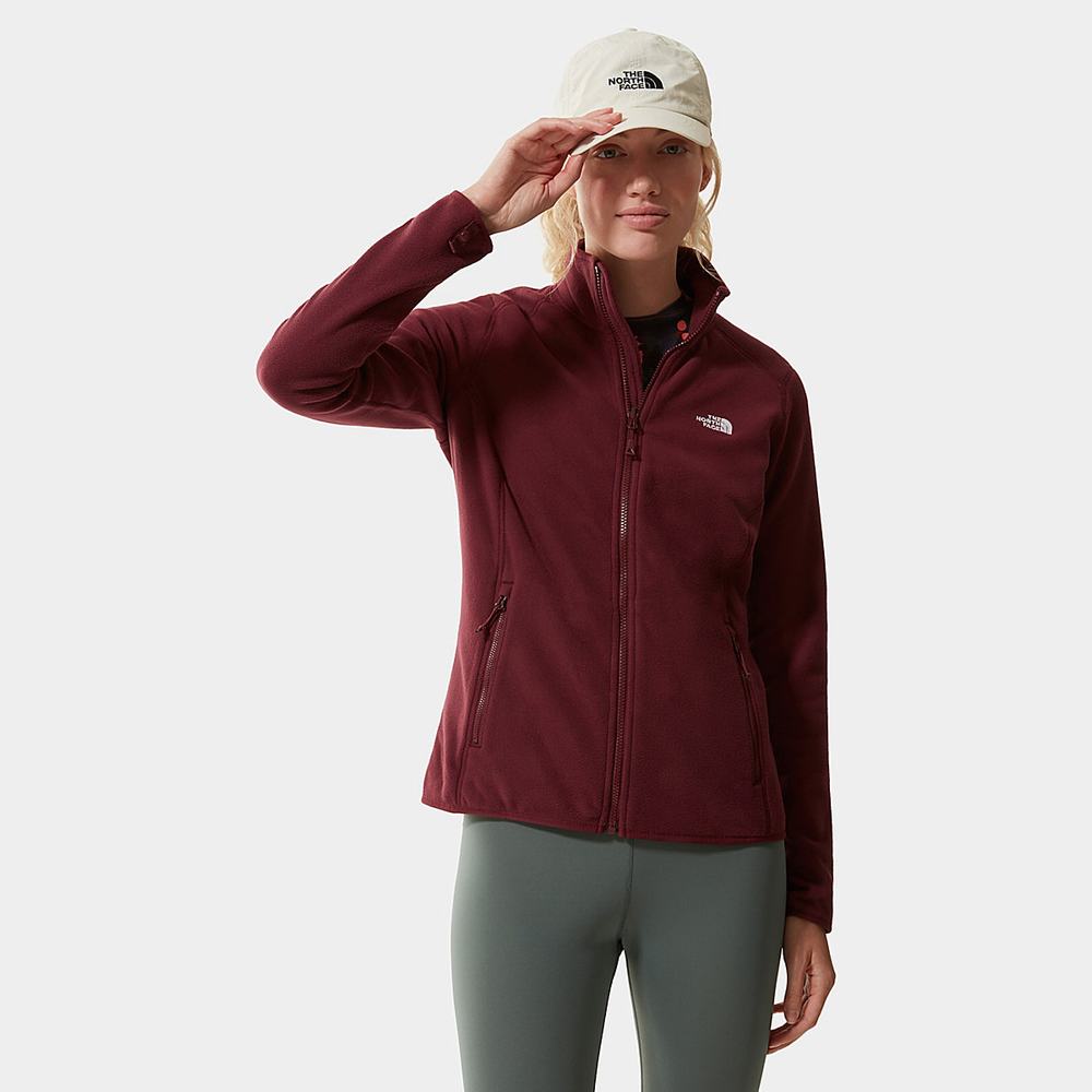 Fleece Mikiny The North Face 100 Glacier Full-Zip Damske Červené | BAU-078324