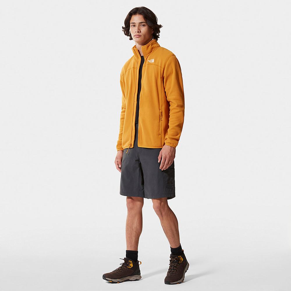 Fleece Mikiny The North Face 100 Glacier Full-Zip Panske Žlté | DMZ-203948