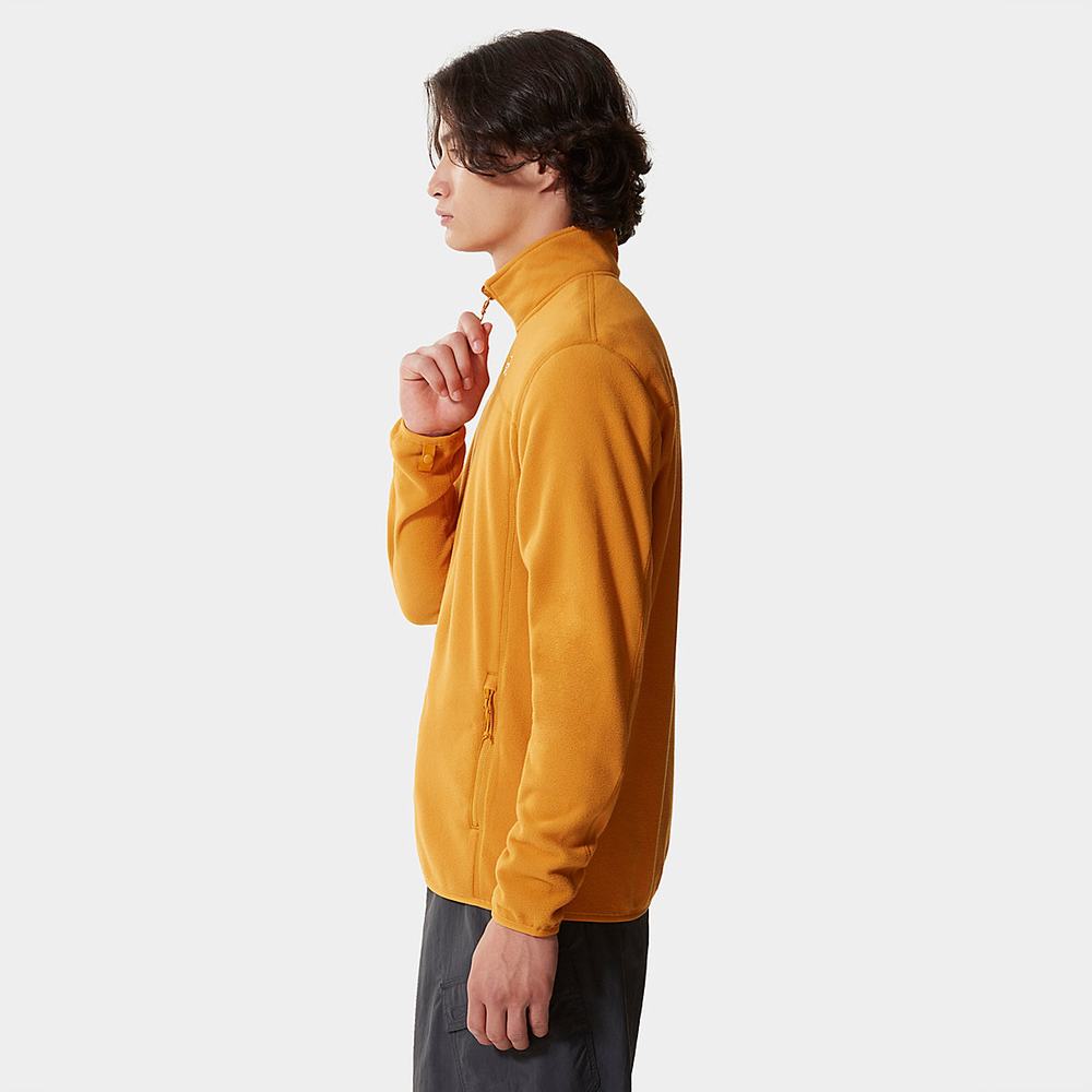 Fleece Mikiny The North Face 100 Glacier Full-Zip Panske Žlté | DMZ-203948