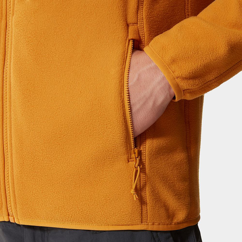 Fleece Mikiny The North Face 100 Glacier Full-Zip Panske Žlté | DMZ-203948