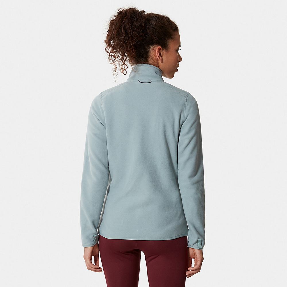 Fleece Mikiny The North Face 100 Glacier Full-Zip Damske Strieborne Modre | FTW-058624