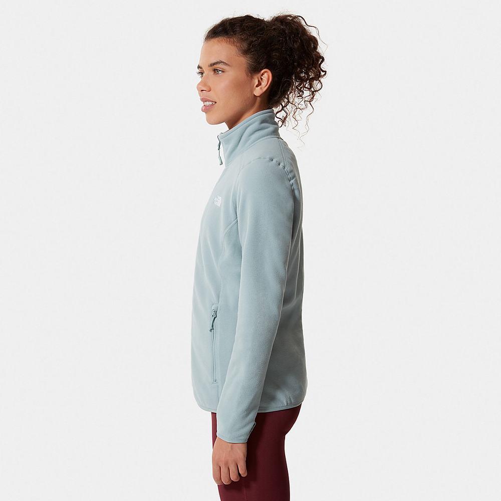 Fleece Mikiny The North Face 100 Glacier Full-Zip Damske Strieborne Modre | FTW-058624