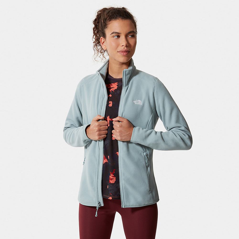 Fleece Mikiny The North Face 100 Glacier Full-Zip Damske Strieborne Modre | FTW-058624
