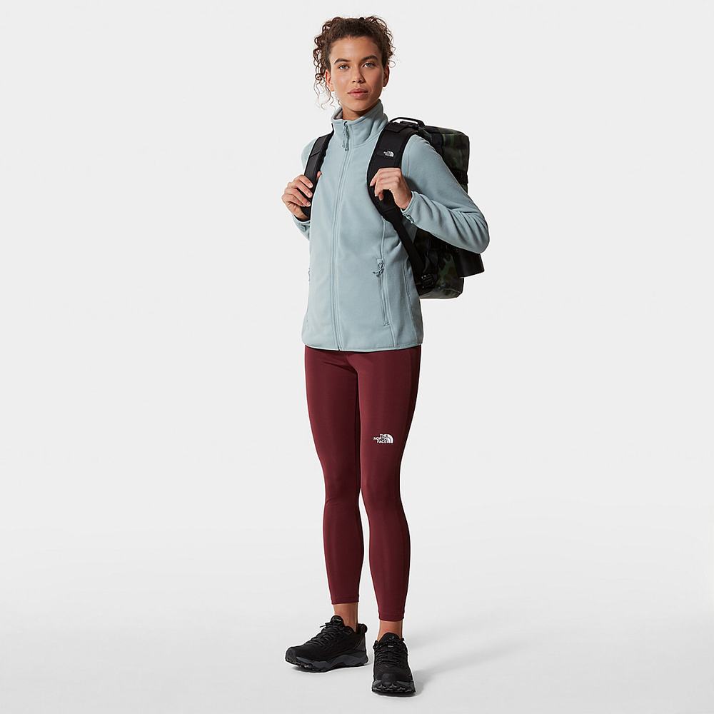 Fleece Mikiny The North Face 100 Glacier Full-Zip Damske Strieborne Modre | FTW-058624