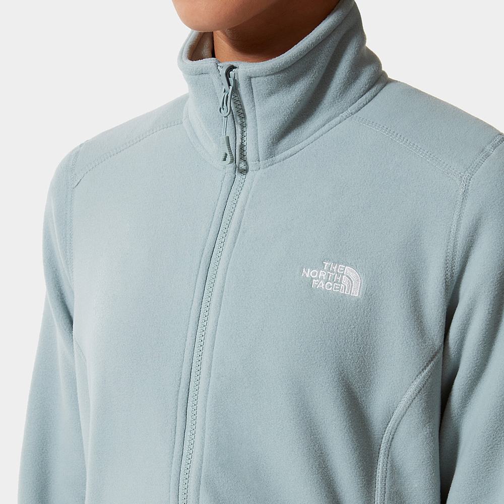Fleece Mikiny The North Face 100 Glacier Full-Zip Damske Strieborne Modre | FTW-058624