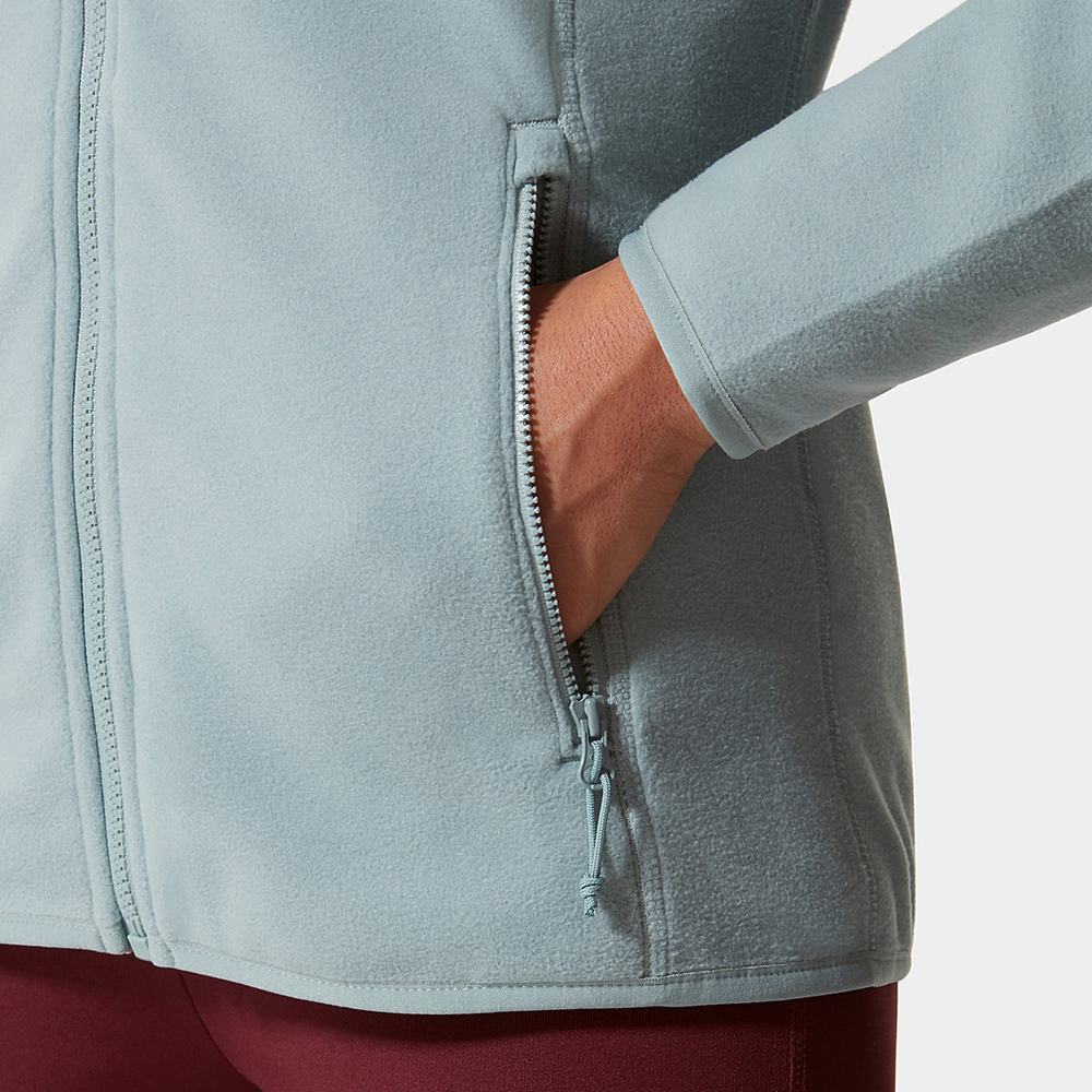 Fleece Mikiny The North Face 100 Glacier Full-Zip Damske Strieborne Modre | FTW-058624