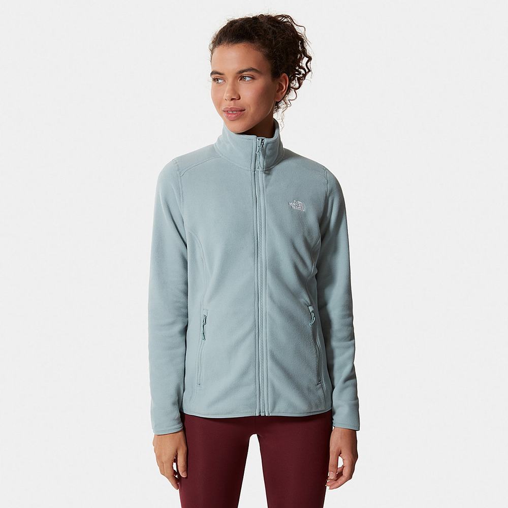 Fleece Mikiny The North Face 100 Glacier Full-Zip Damske Strieborne Modre | FTW-058624