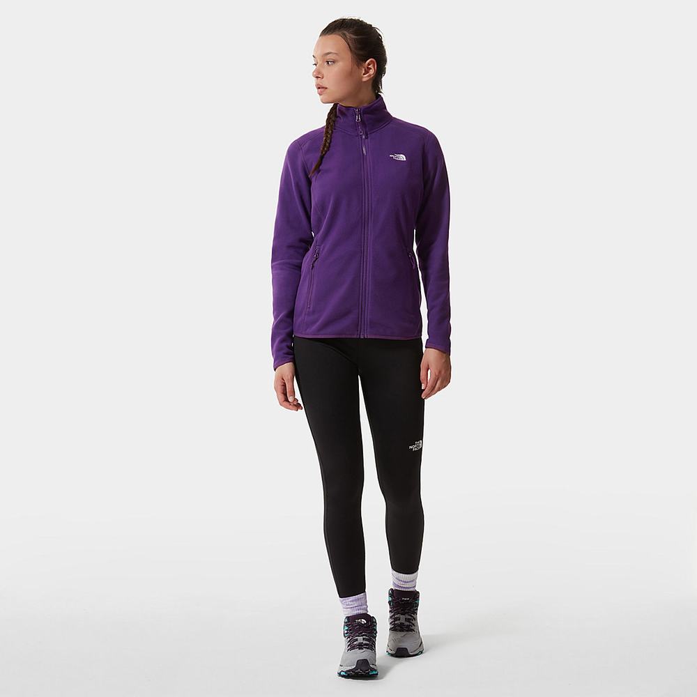 Fleece Mikiny The North Face 100 Glacier Full-Zip Damske Nachový | PZL-510238