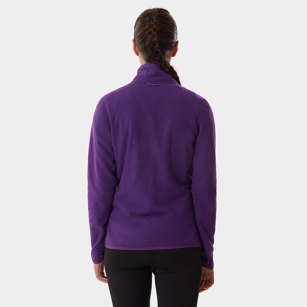 Fleece Mikiny The North Face 100 Glacier Full-Zip Damske Nachový | PZL-510238