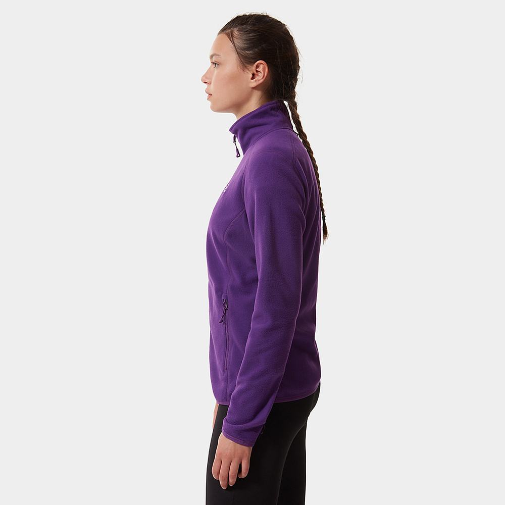 Fleece Mikiny The North Face 100 Glacier Full-Zip Damske Nachový | PZL-510238