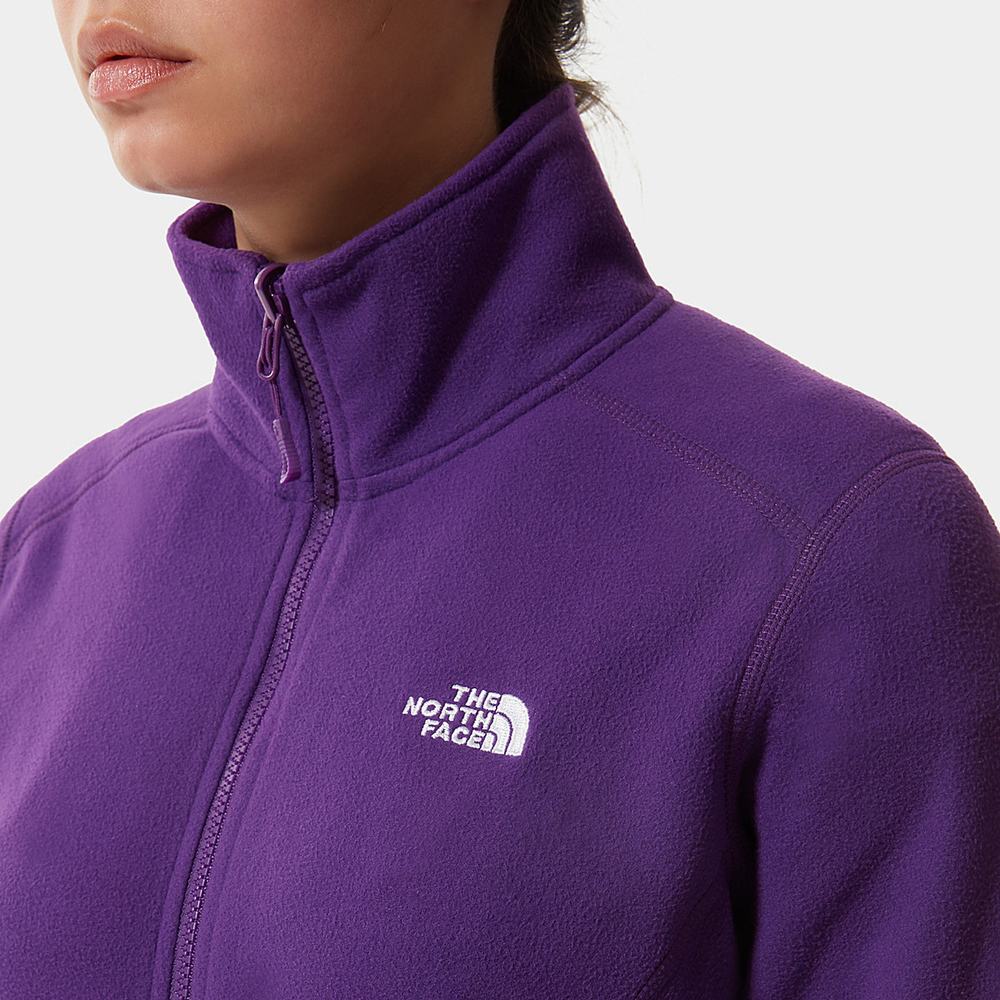 Fleece Mikiny The North Face 100 Glacier Full-Zip Damske Nachový | PZL-510238