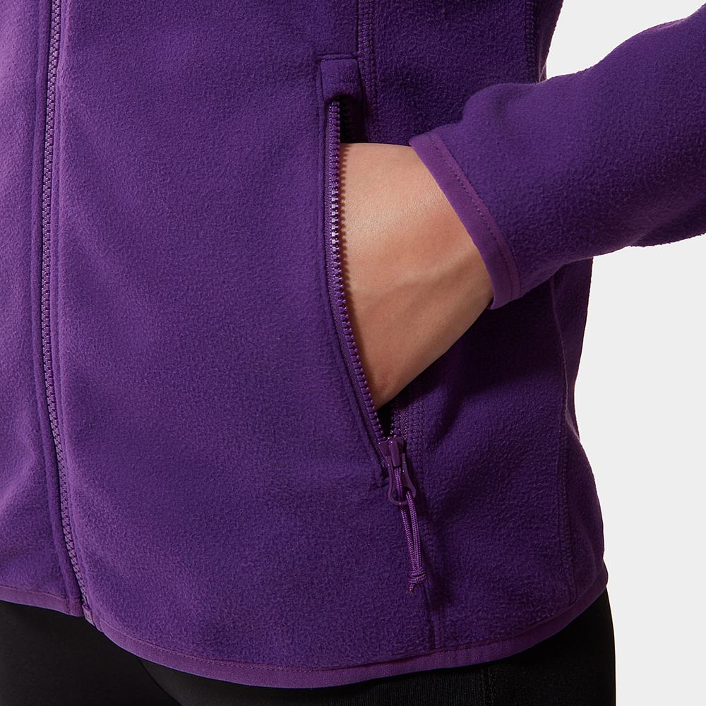 Fleece Mikiny The North Face 100 Glacier Full-Zip Damske Nachový | PZL-510238