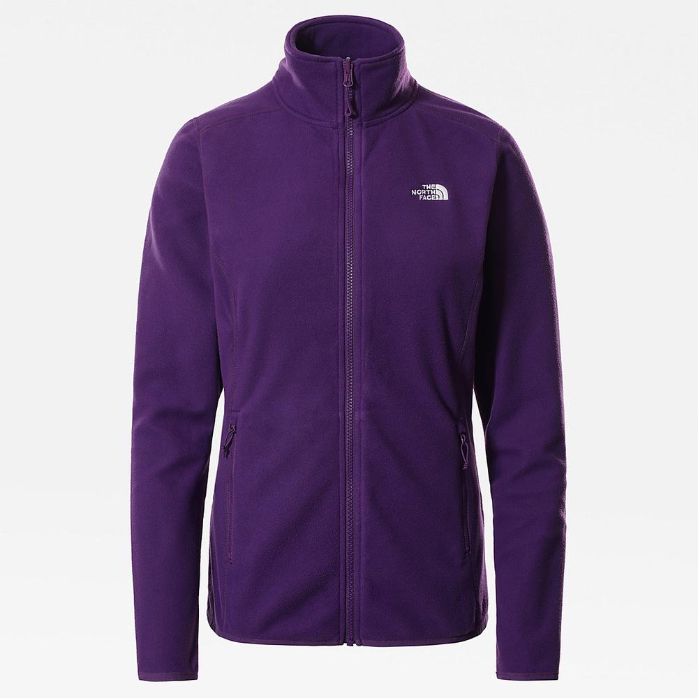 Fleece Mikiny The North Face 100 Glacier Full-Zip Damske Nachový | PZL-510238