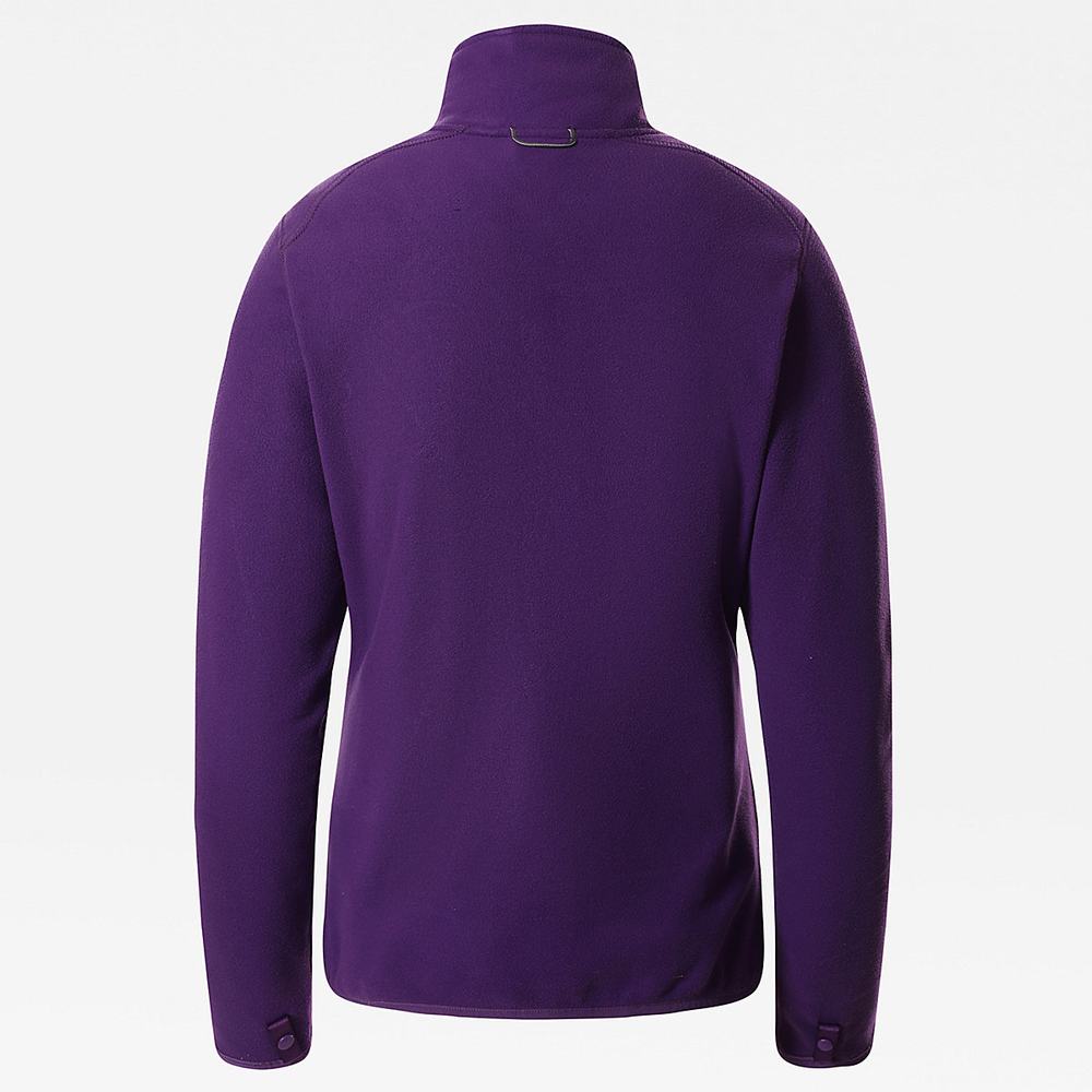 Fleece Mikiny The North Face 100 Glacier Full-Zip Damske Nachový | PZL-510238