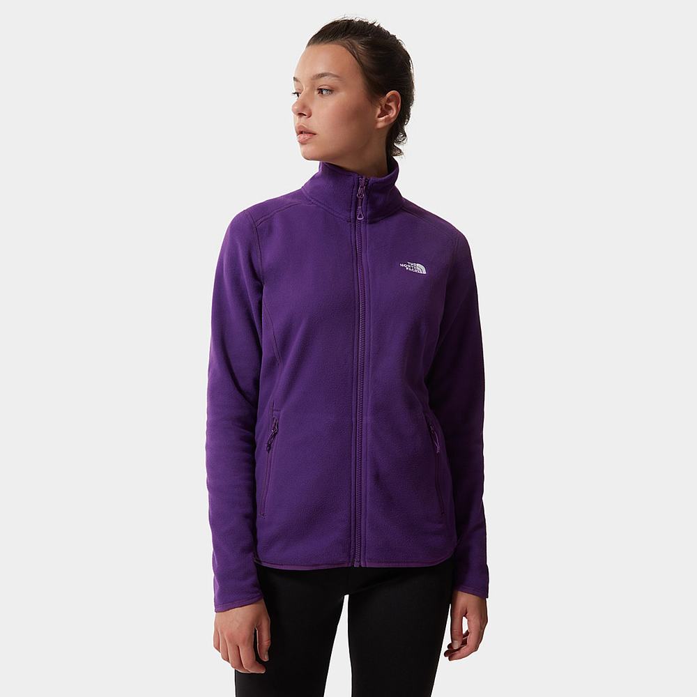 Fleece Mikiny The North Face 100 Glacier Full-Zip Damske Nachový | PZL-510238