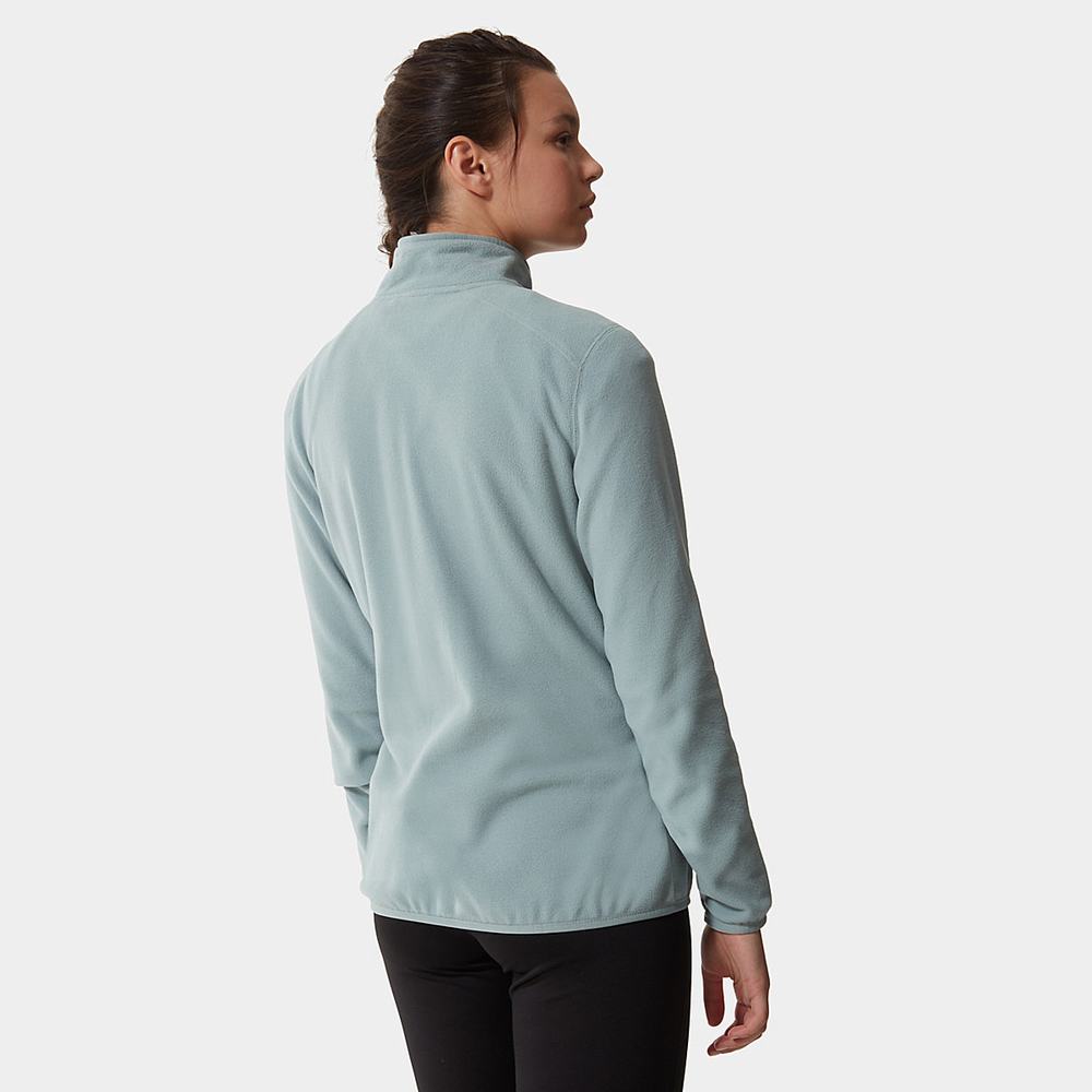 Fleece Mikiny The North Face 100 Glacier Quarter-Zip Damske Strieborne Modre | SFY-642379