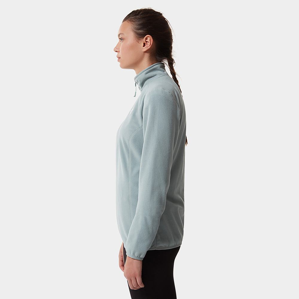 Fleece Mikiny The North Face 100 Glacier Quarter-Zip Damske Strieborne Modre | SFY-642379
