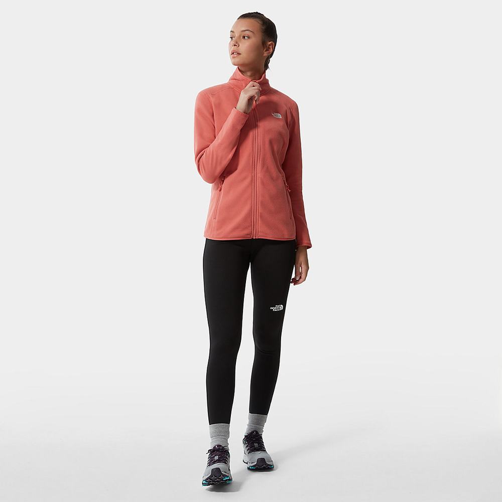 Fleece Mikiny The North Face 100 Glacier Full-Zip Damske Ruzove | UDZ-391807