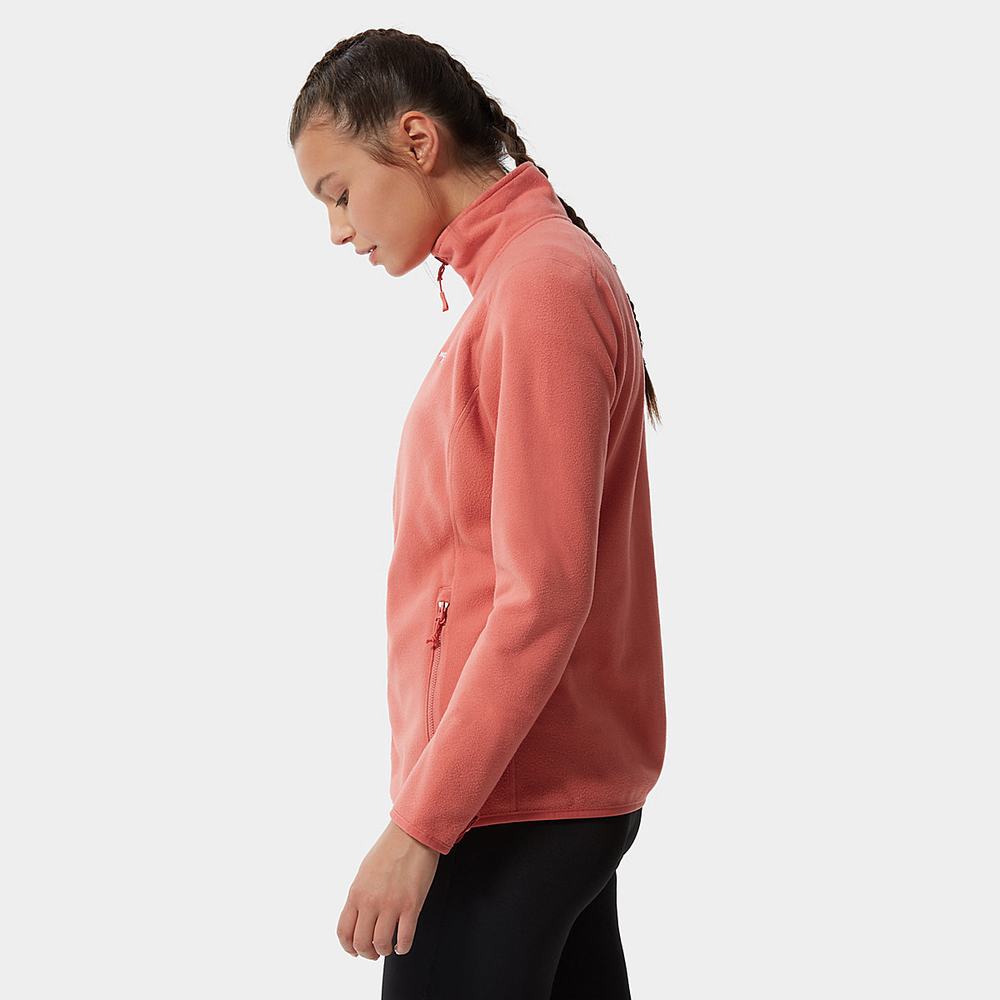 Fleece Mikiny The North Face 100 Glacier Full-Zip Damske Ruzove | UDZ-391807