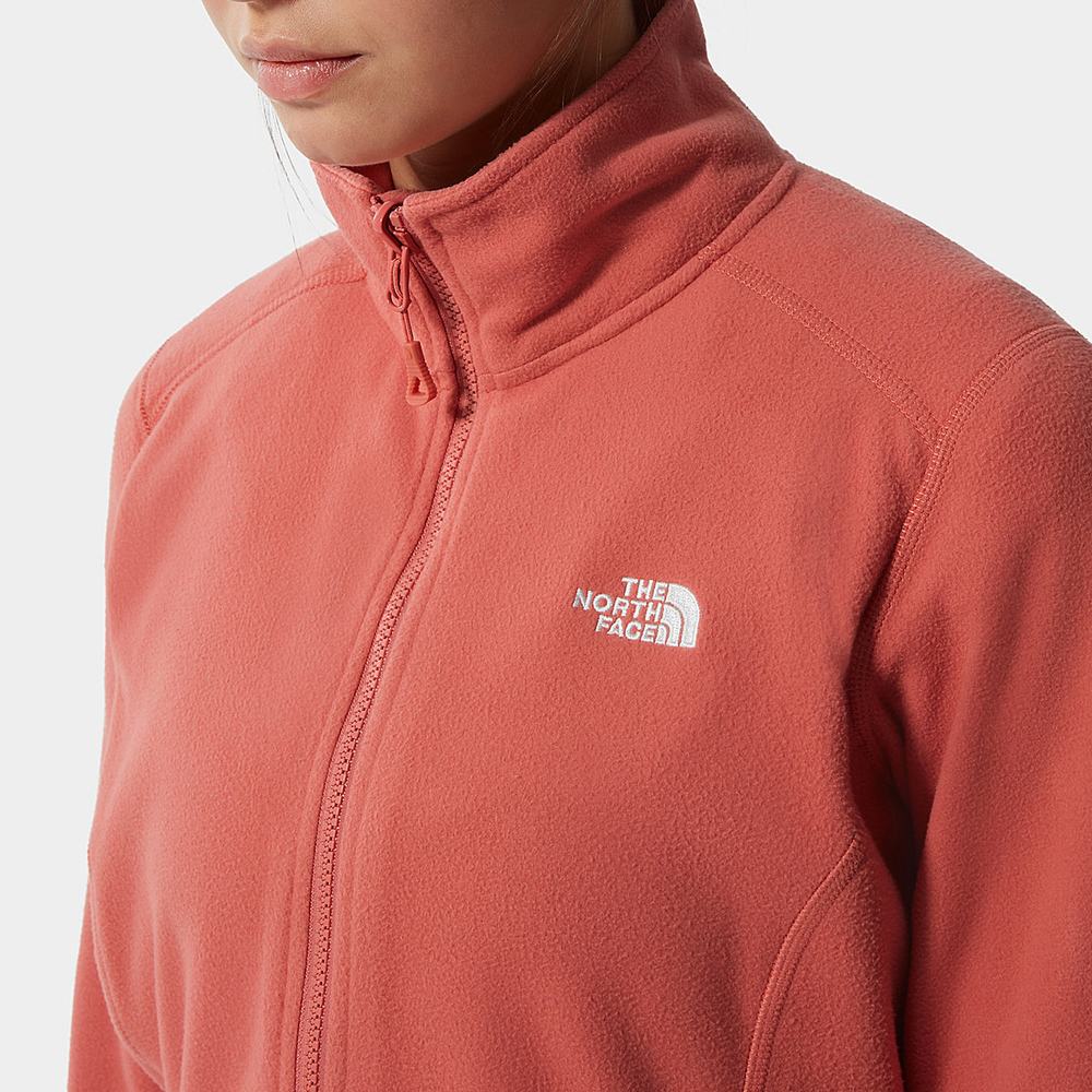 Fleece Mikiny The North Face 100 Glacier Full-Zip Damske Ruzove | UDZ-391807