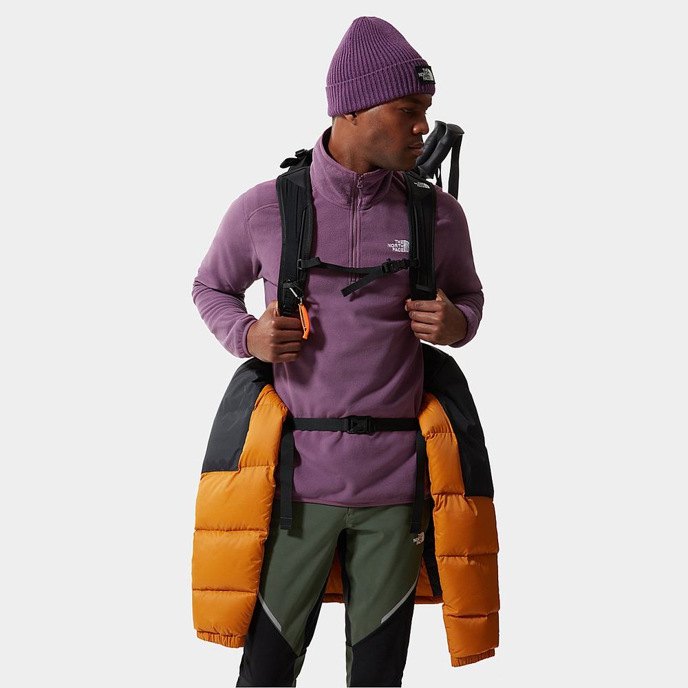 Fleece Mikiny The North Face 100 Glacier Quarter-Zip Panske Nachový | UWD-394105
