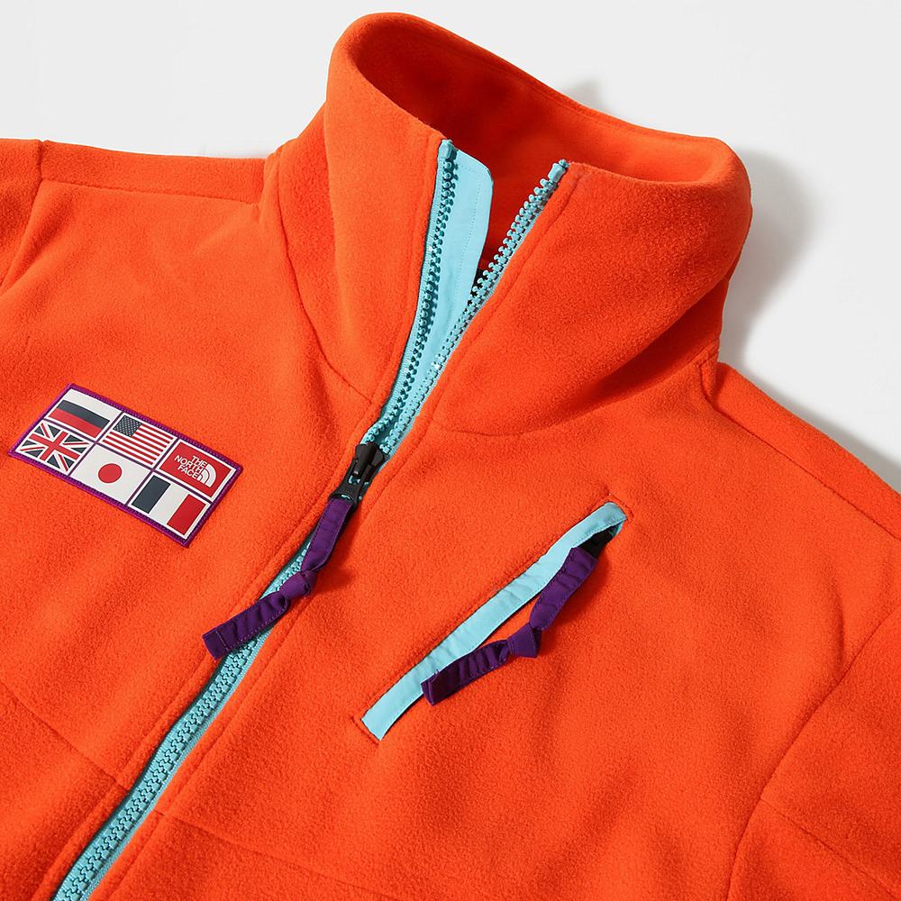 Fleece Mikiny The North Face CTAE Panske Červené Oranžové | JFA-278561