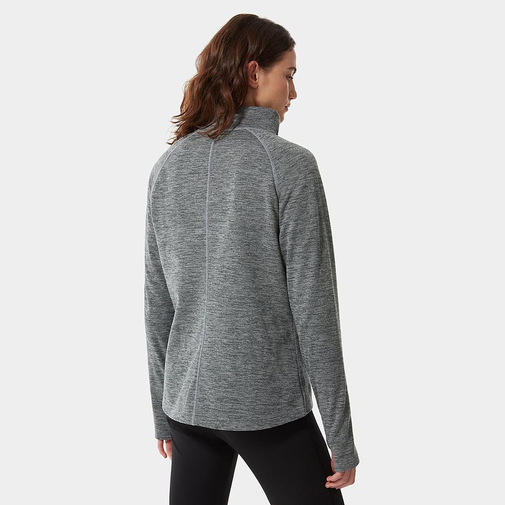 Fleece Mikiny The North Face Canyonlands ¼ Zip Damske Siva | DST-895016