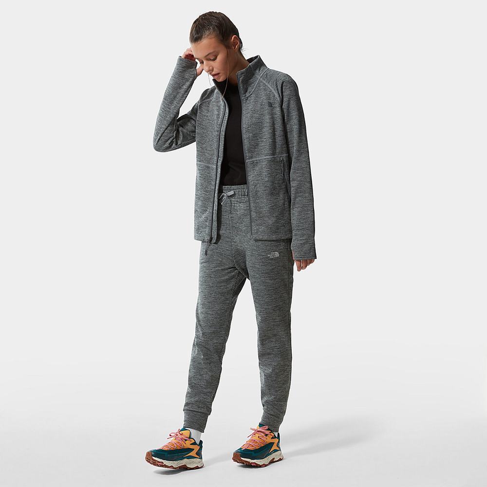 Fleece Mikiny The North Face Canyonlands Damske Siva | VCU-531704