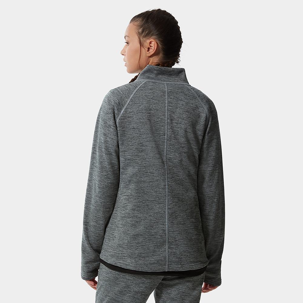 Fleece Mikiny The North Face Canyonlands Damske Siva | VCU-531704