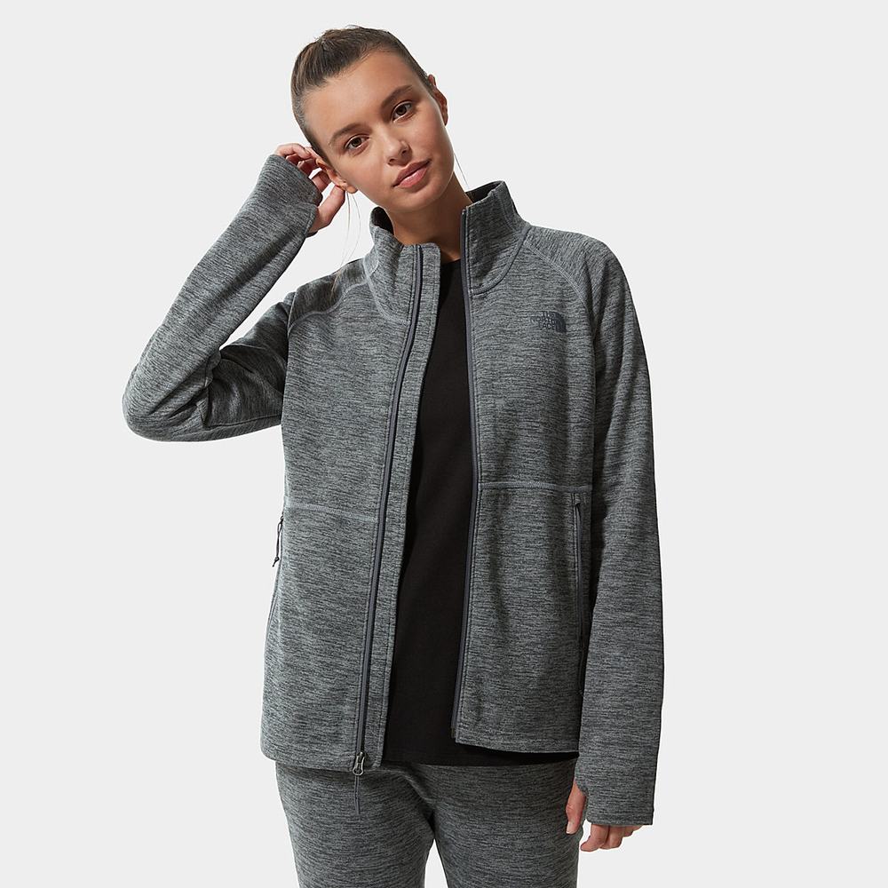 Fleece Mikiny The North Face Canyonlands Damske Siva | VCU-531704