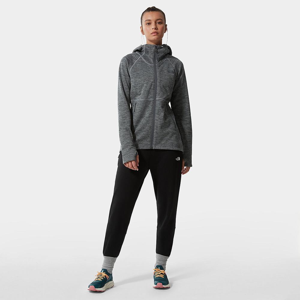 Fleece Mikiny The North Face Canyonlands S Kapucňou Damske Siva | XWC-037698