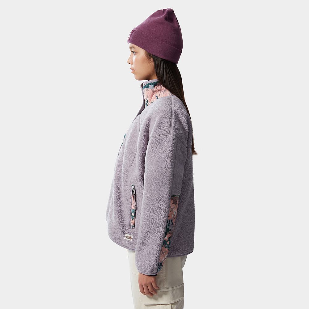 Fleece Mikiny The North Face Cragmont Damske Siva Zelene | ESC-317956