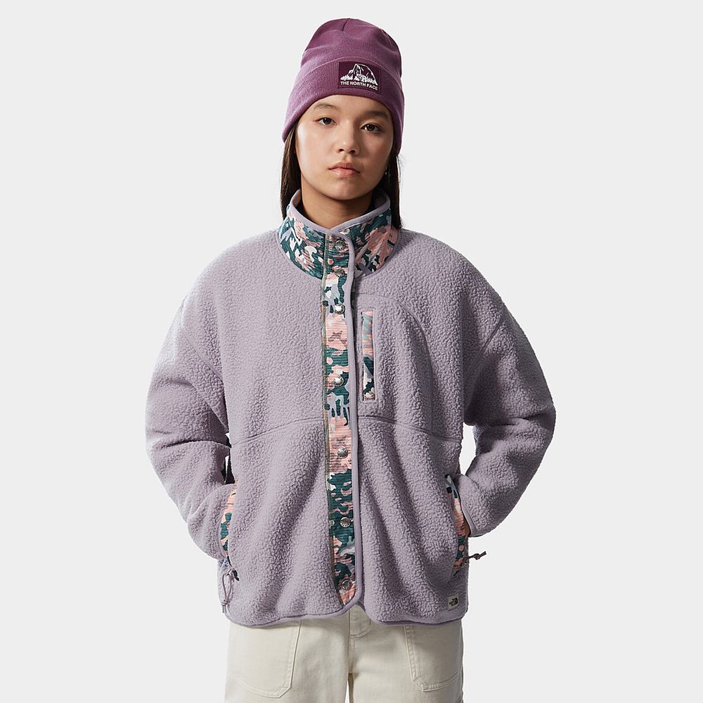 Fleece Mikiny The North Face Cragmont Damske Siva Zelene | ESC-317956