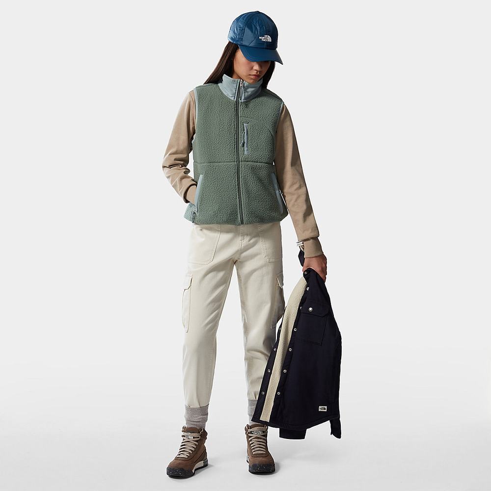 Fleece Mikiny The North Face Cragmont Damske Zelene Strieborne Modre | OXQ-512396