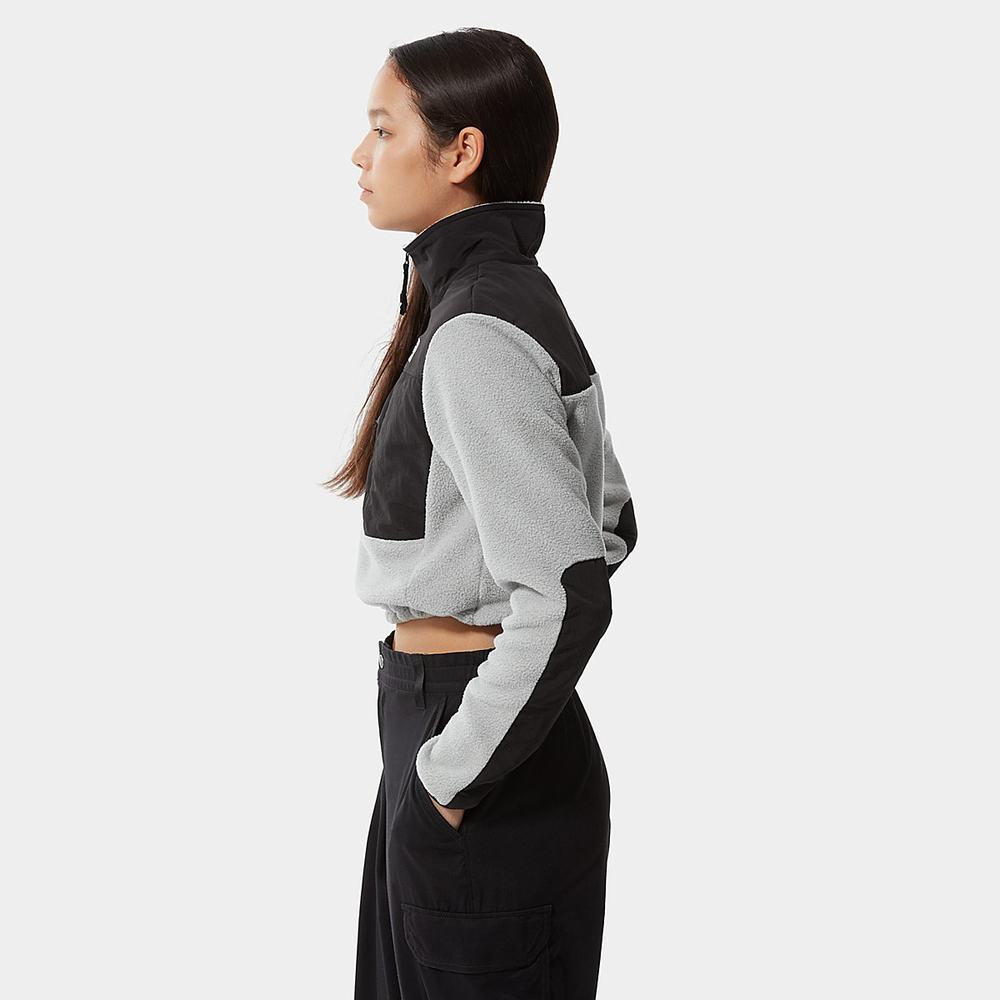 Fleece Mikiny The North Face Cropped Denali Damske Svetlo Siva | XYI-791543