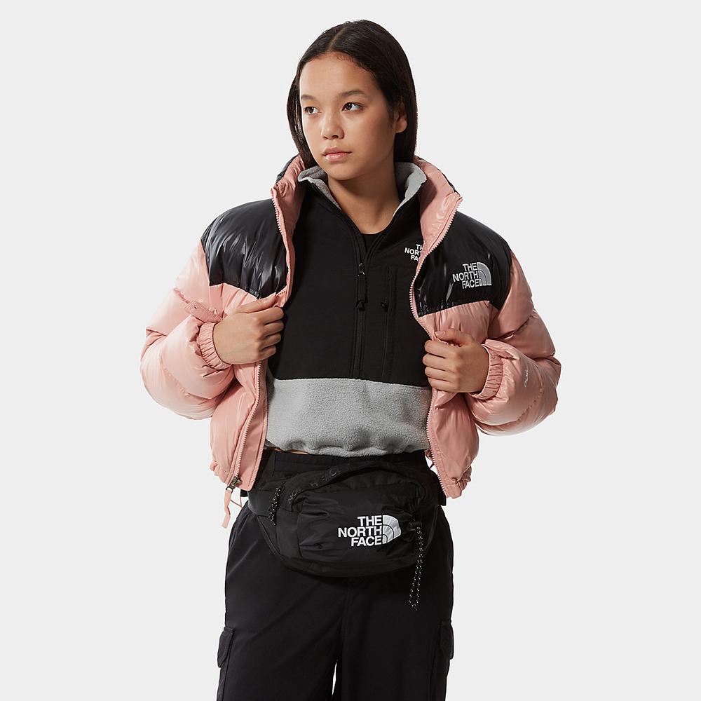 Fleece Mikiny The North Face Cropped Denali Damske Svetlo Siva | XYI-791543