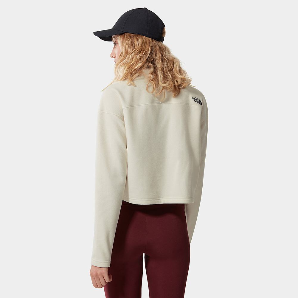Fleece Mikiny The North Face Cropped Glacier Damske Biele | YDG-321475