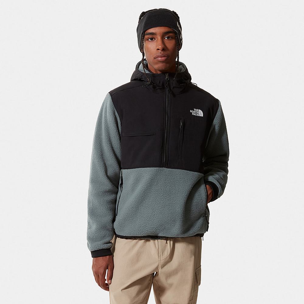 Fleece Mikiny The North Face Denali 2 Anorak Panske Zelene | HPW-845076