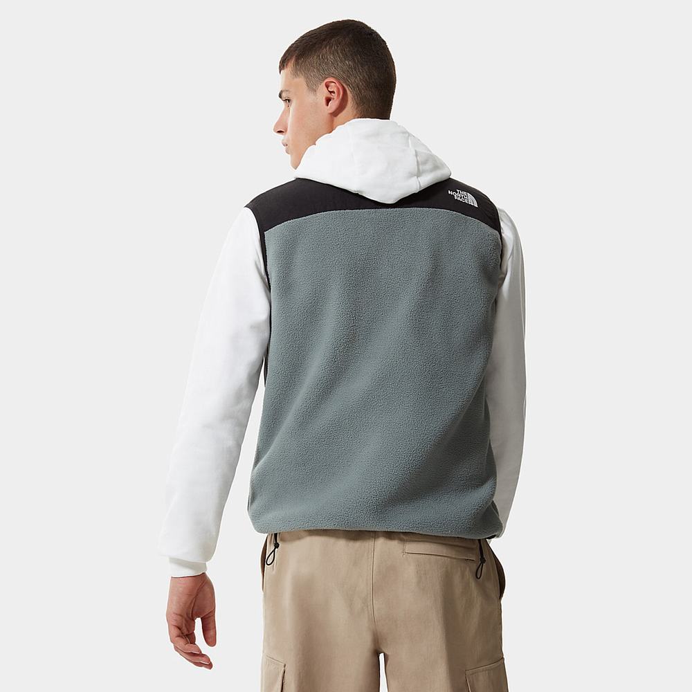 Fleece Mikiny The North Face Denali Gilet Panske Zelene | VYN-983450