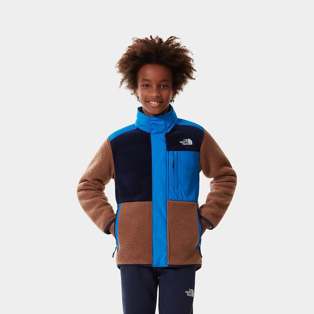 Fleece Mikiny The North Face Forest Mixed Media Full-Zip Chlapcenske Tmavo Zelene Hnede | DNP-895063