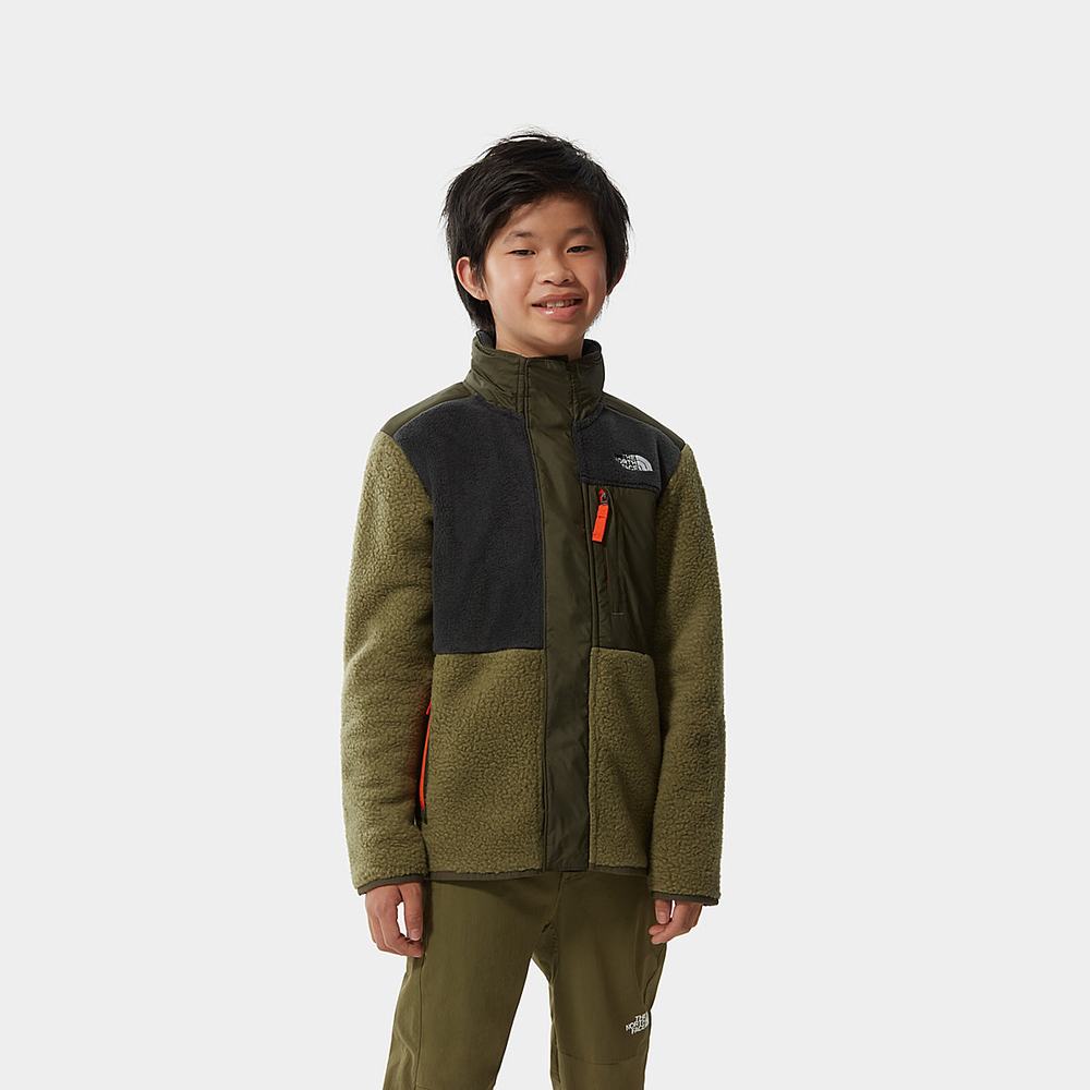 Fleece Mikiny The North Face Forest Mixed Media Full-Zip Chlapcenske Olivovo Zelená Zelene | UZB-947581
