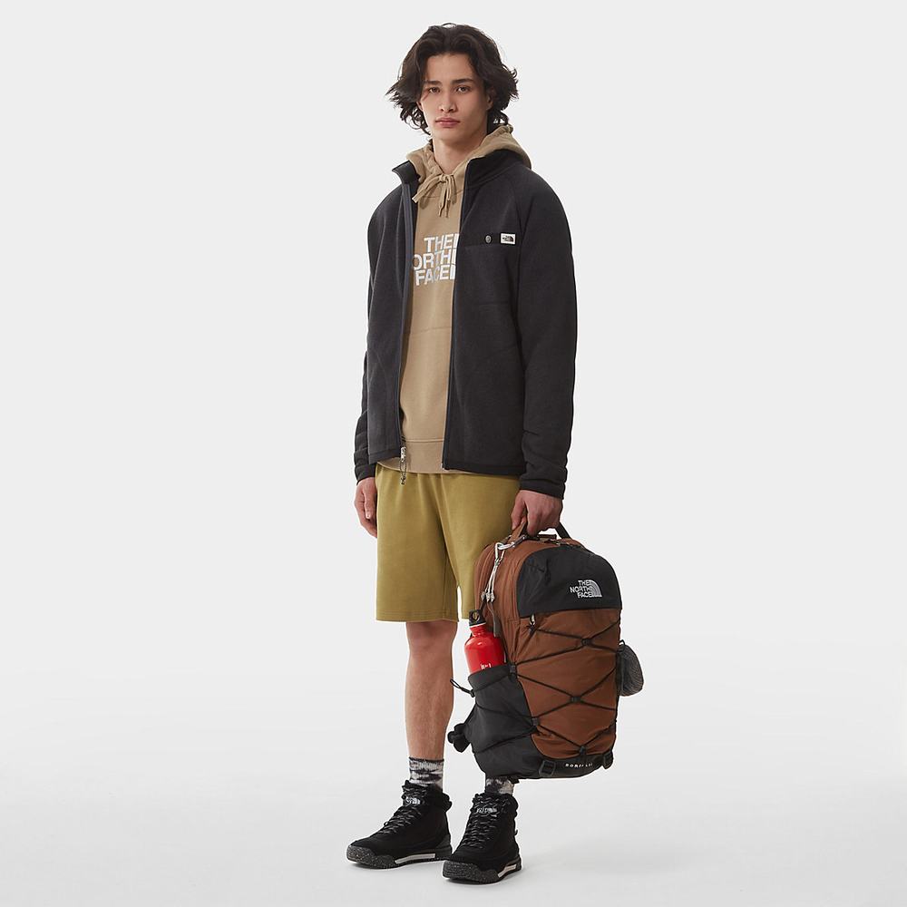 Fleece Mikiny The North Face Gordon Lyons Panske Čierne | KCR-746108