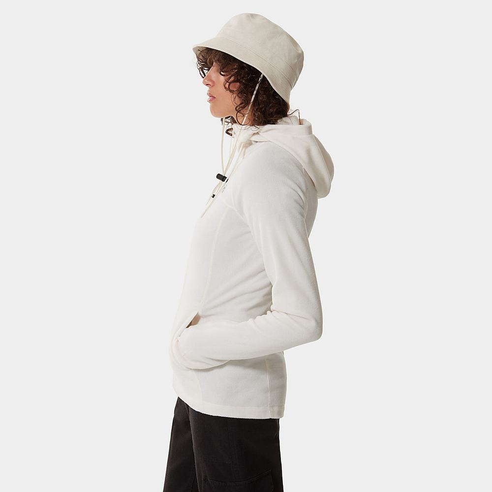 Fleece Mikiny The North Face Homesafe Full-Zip Damske Biele | ELB-754391